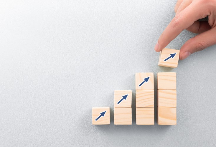 Growing Your Business Organically Or Through Acquisition Growing Your Business Organically Or Through Acquisition